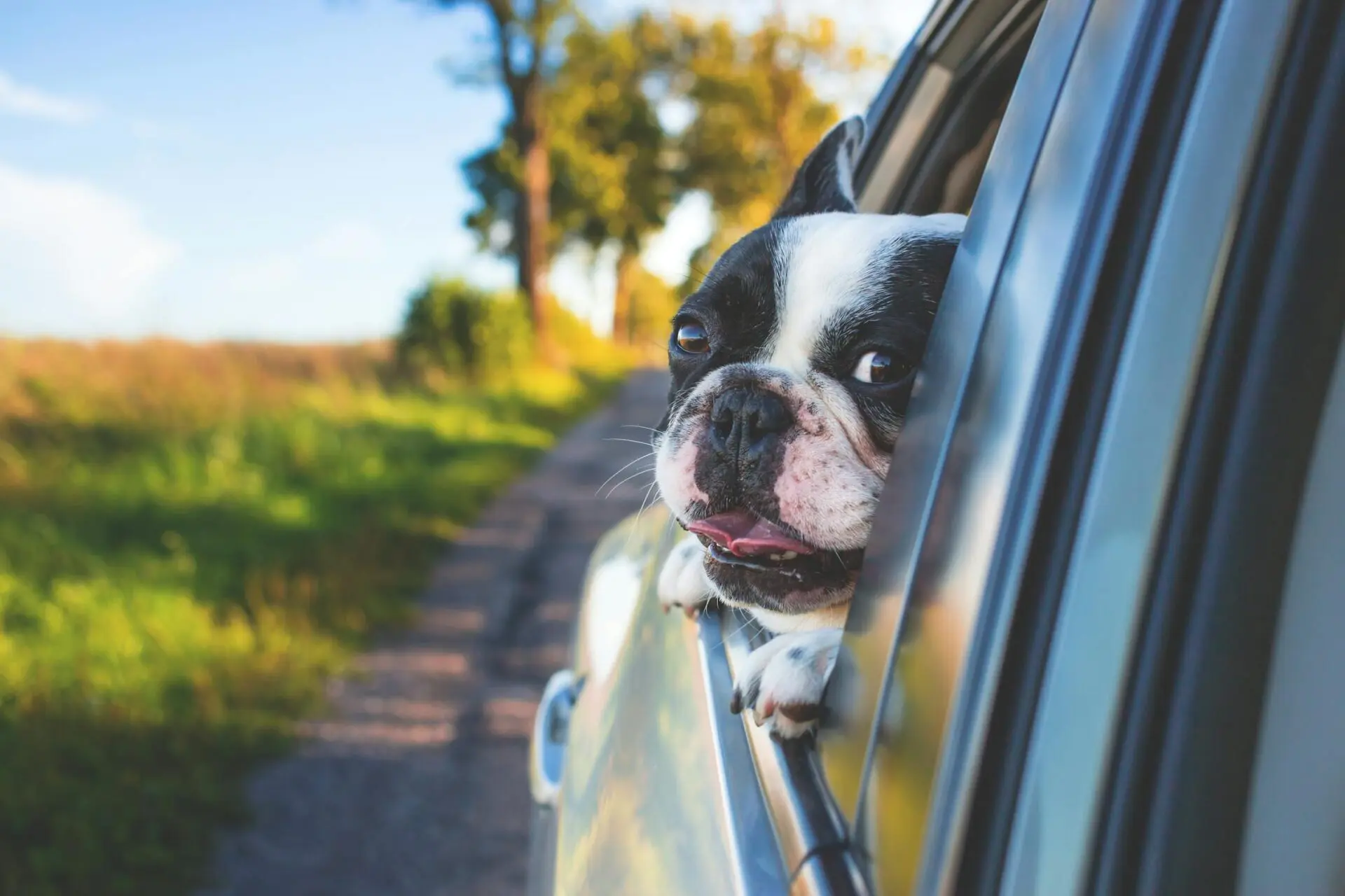 what to expect during pre-purchase car inspection
